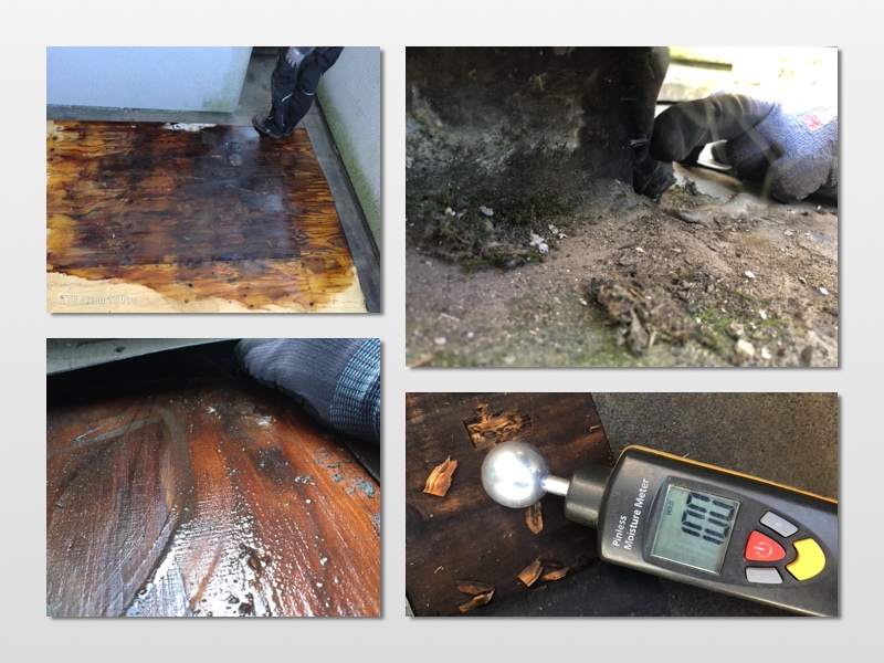 Wasserschaden_Terrasse